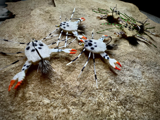 Sand Crab