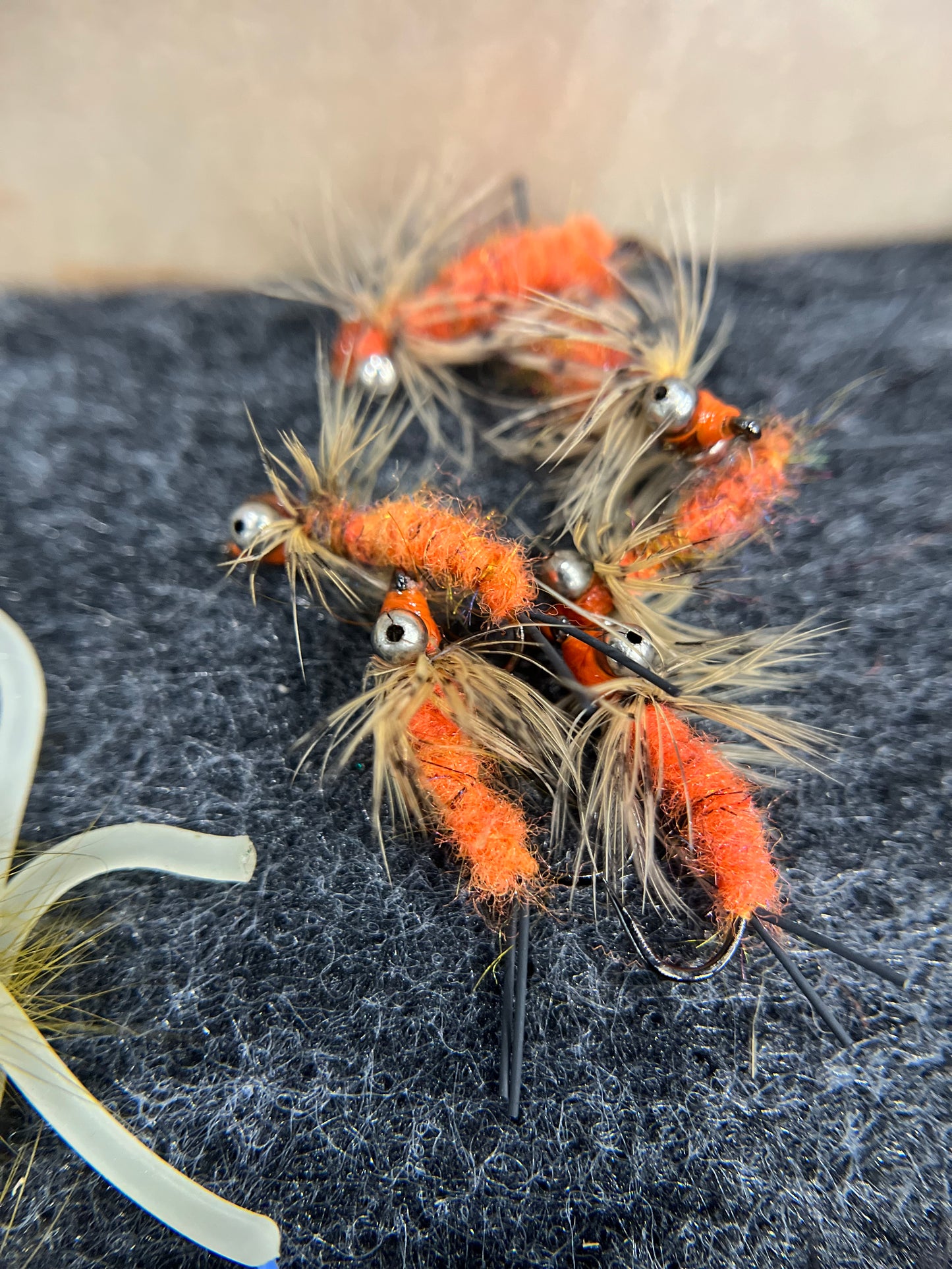 Carp Carrot