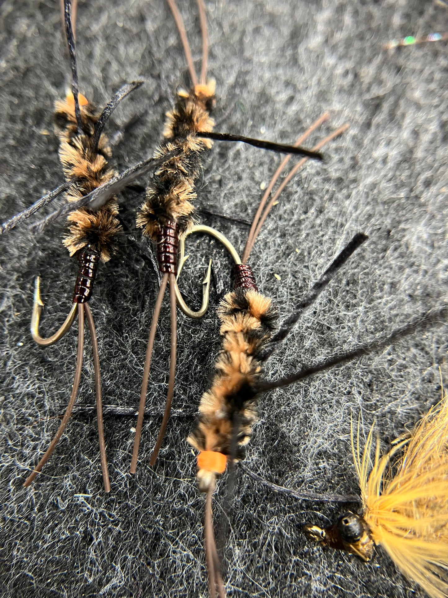 Stone Fly