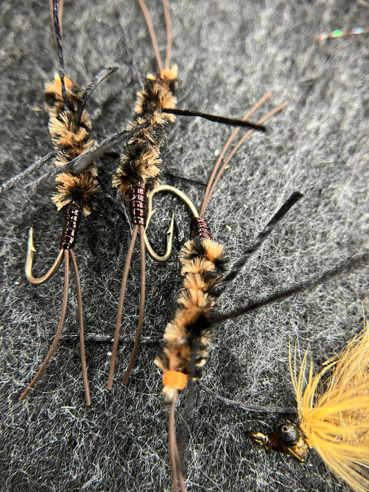 Stone Fly