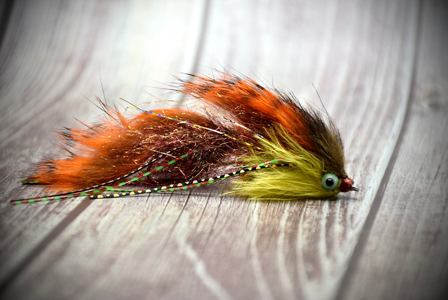 Pond Darter