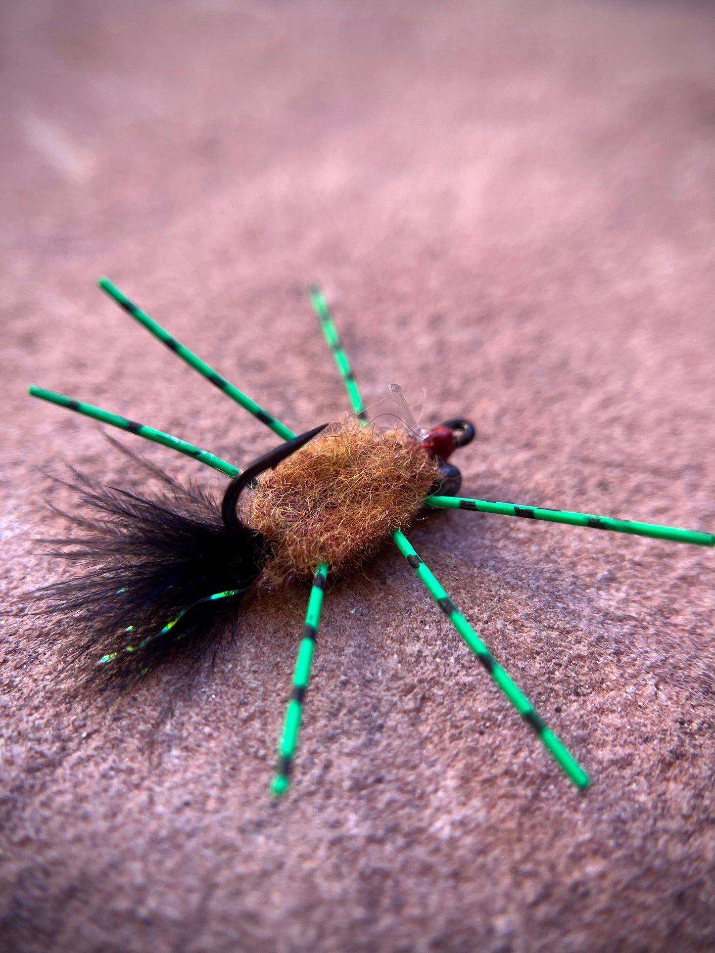 Raghead Crab