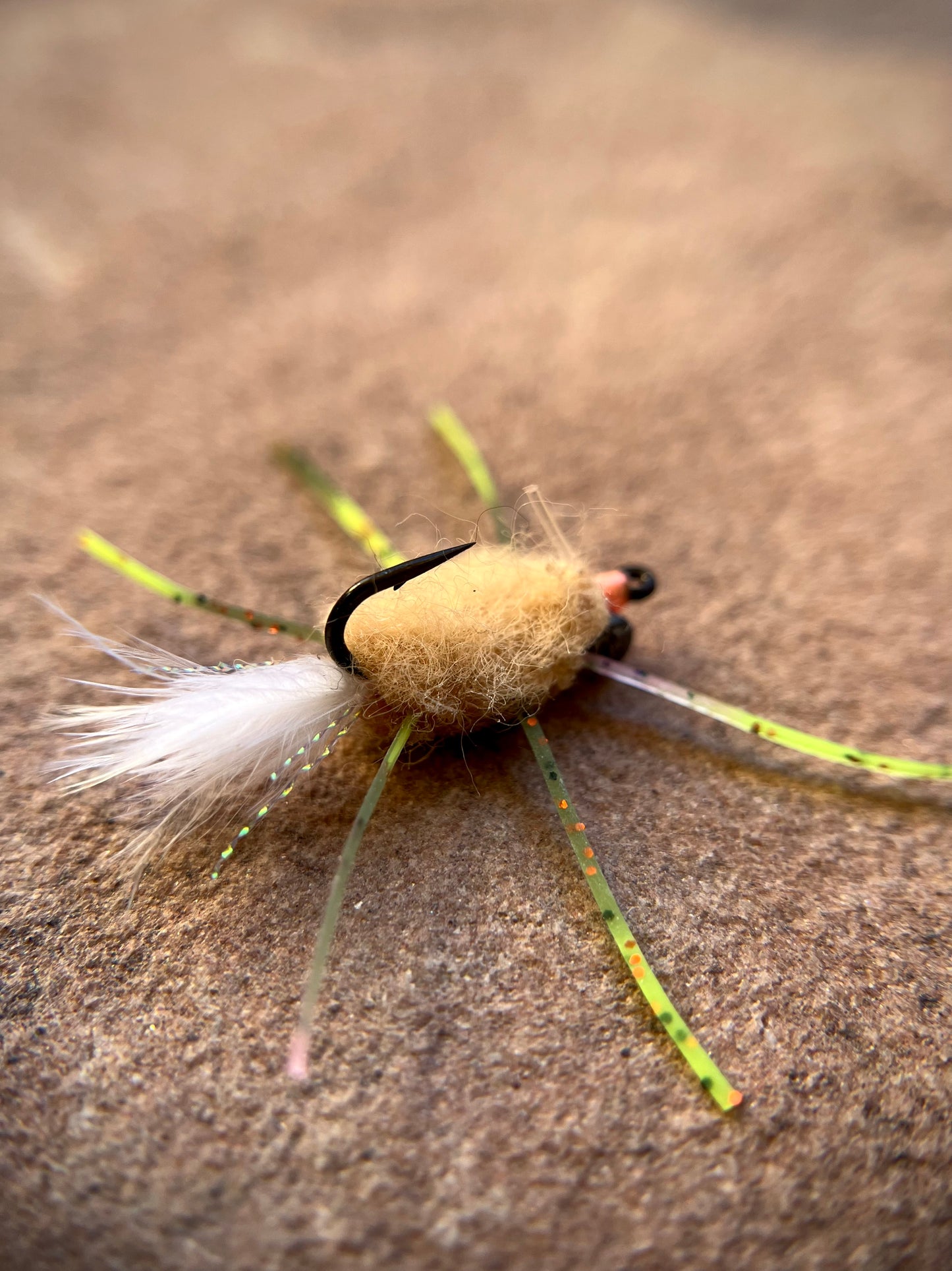 Raghead Crab