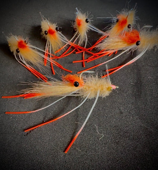 Spawning shrimp