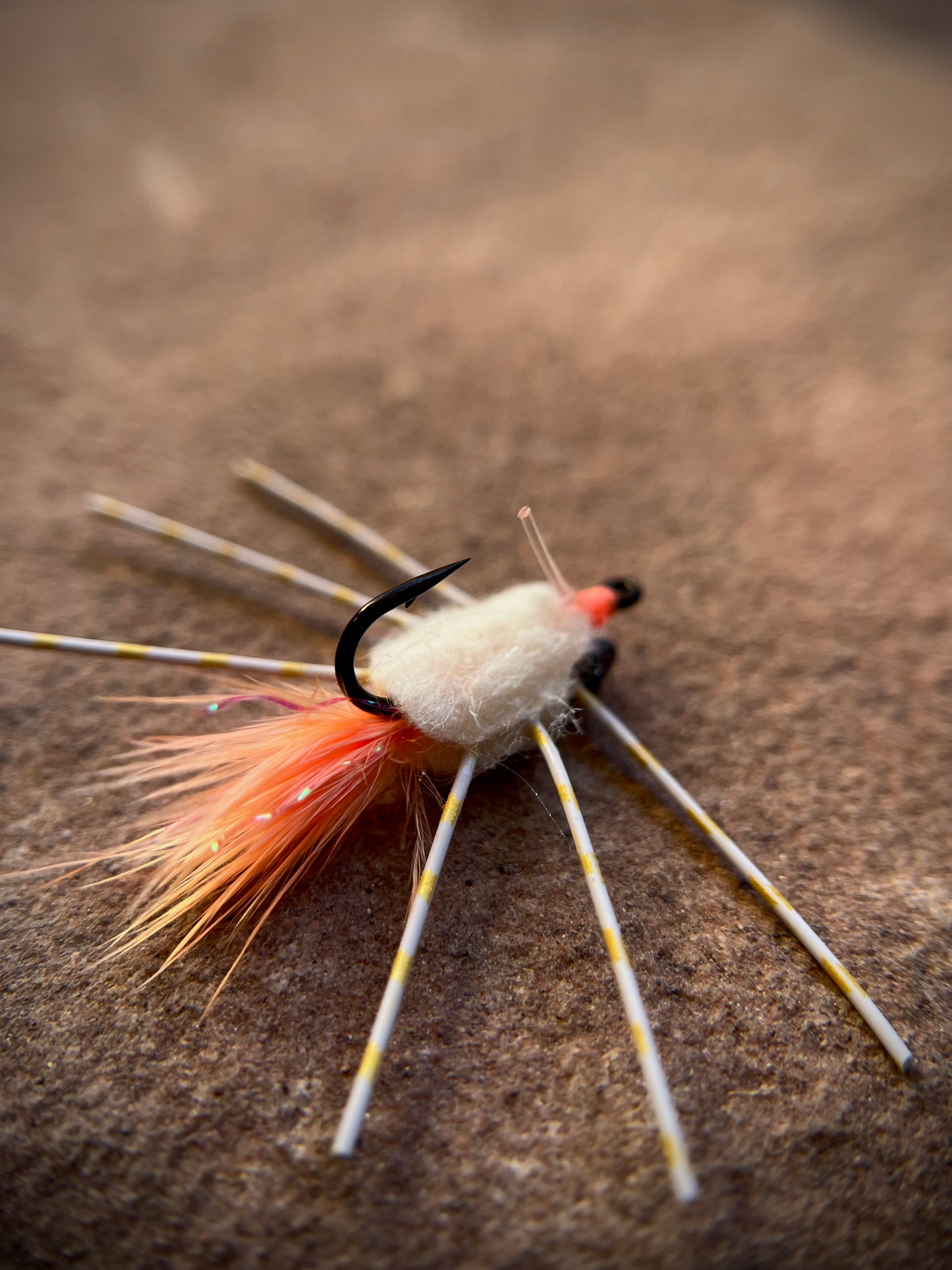 Raghead Crab