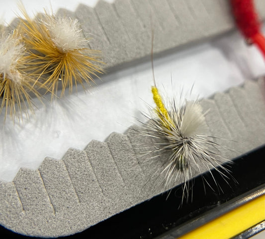 Extended Body Caddis