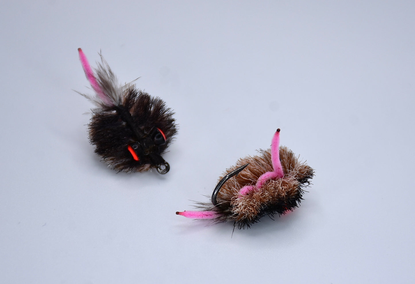 Carp Mussel Fly