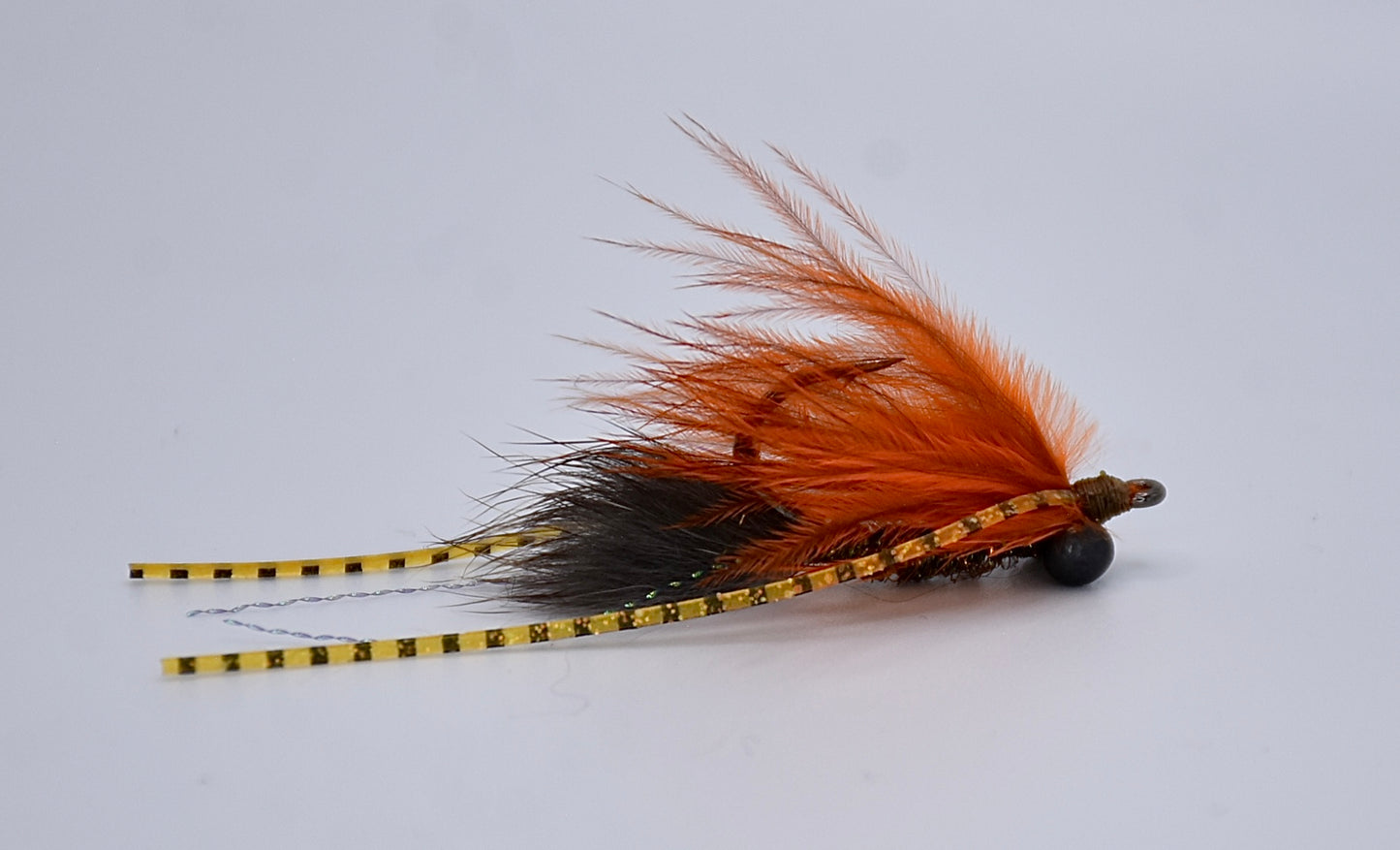 Contingency Carp