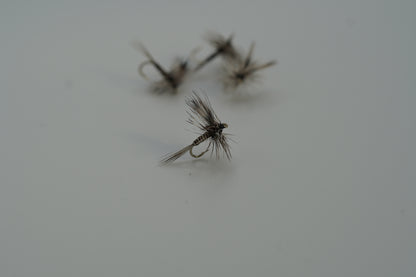 Adam’s flies