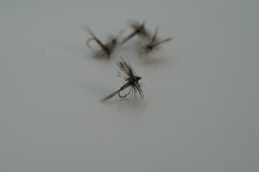 Adam’s flies
