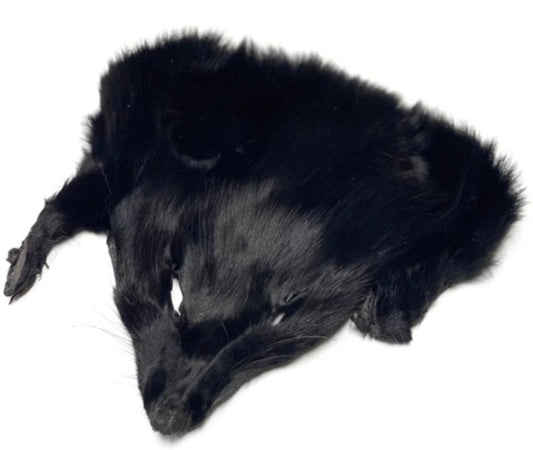 Black Fox Mask