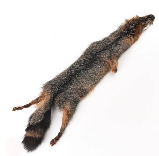 Grey fox pelt
