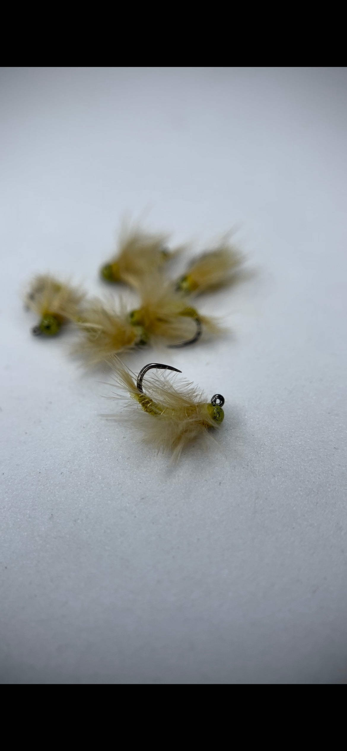 Soft-hackle Sowbug