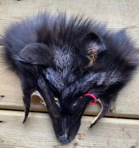 Grey Fox Mask