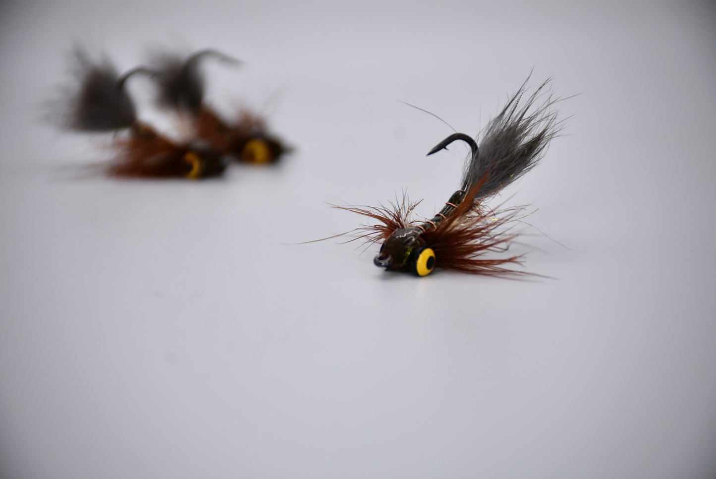 A Carp Fly