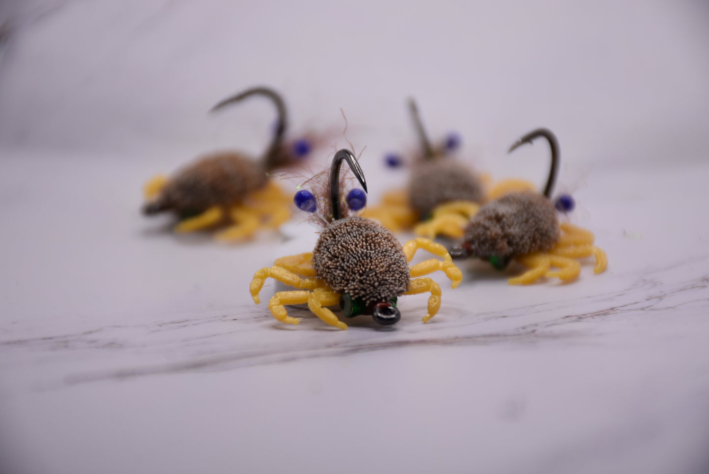 Antelope keta crab ( flatscraft)