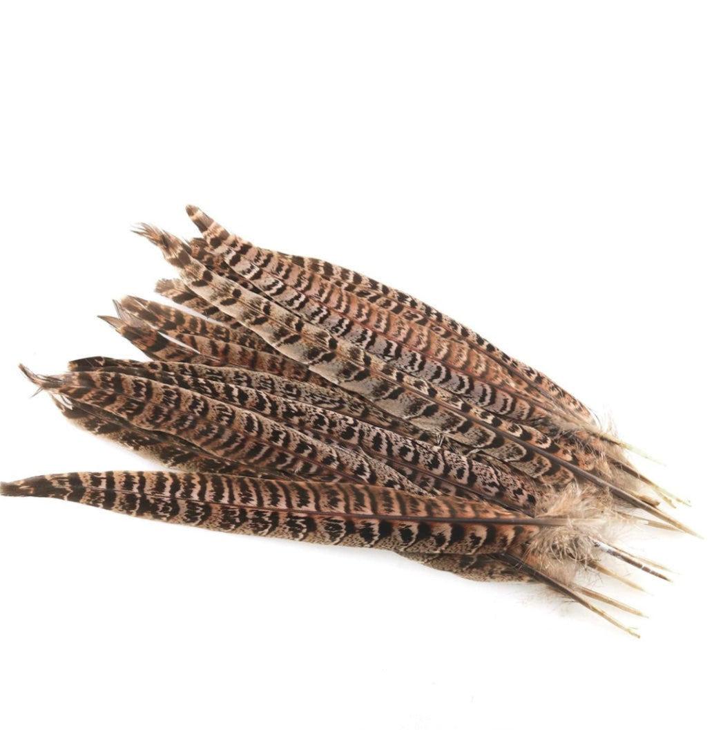 Pheasant Tail
