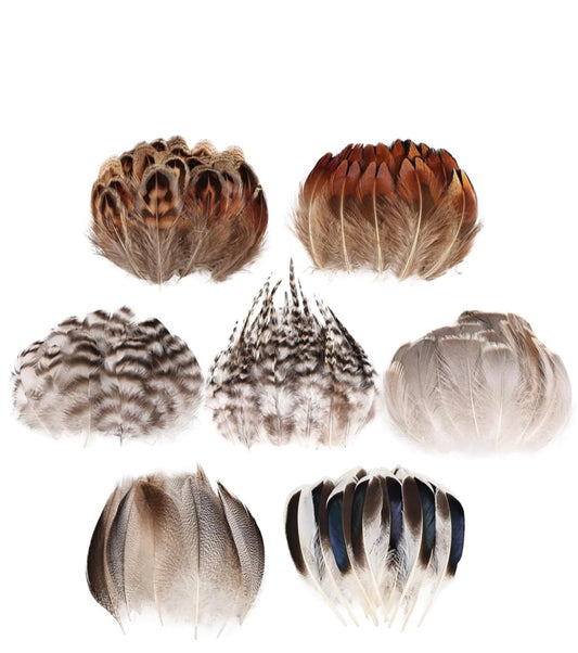 Special chicken feathers