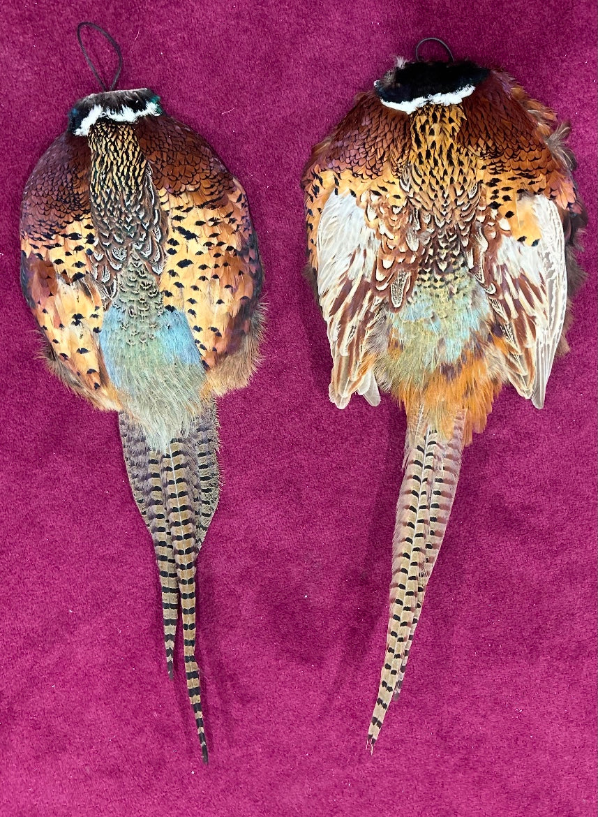 Full Pheasant